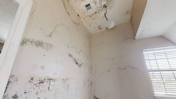 Best Commercial Mold Inspection  in Crooked Lake Park, FL