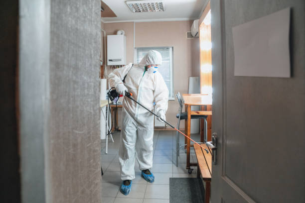 Best Black Mold Removal  in Crooked Lake Park, FL