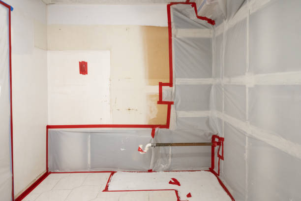 Best Attic Mold Removal  in Crooked Lake Park, FL