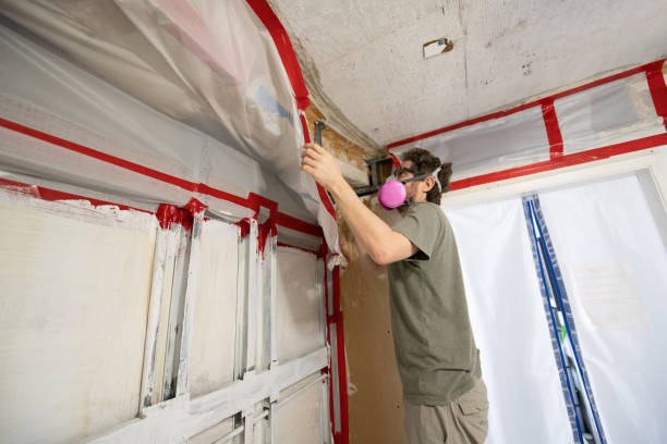Best Water Damage & Mold Remediation  in Crooked Lake Park, FL