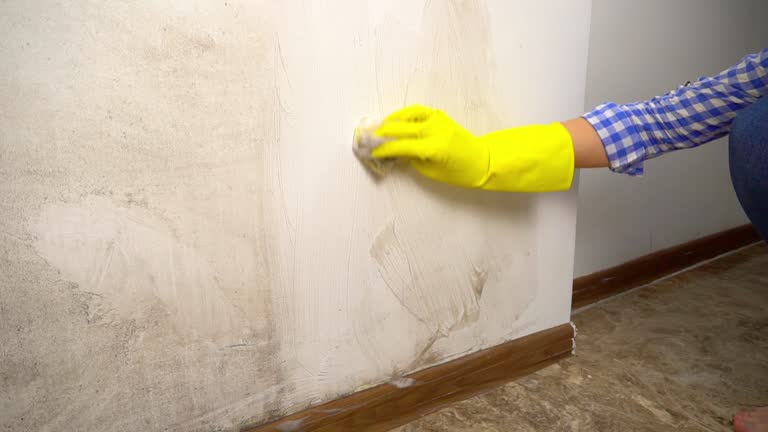 Best Dehumidification Services  in Crooked Lake Park, FL