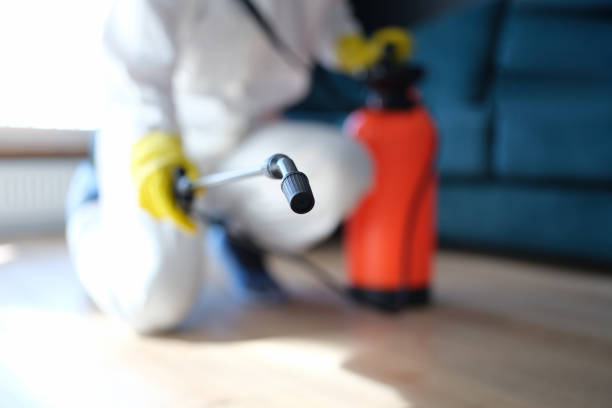 Reliable Crooked Lake Park, FL Mold Removal Solutions