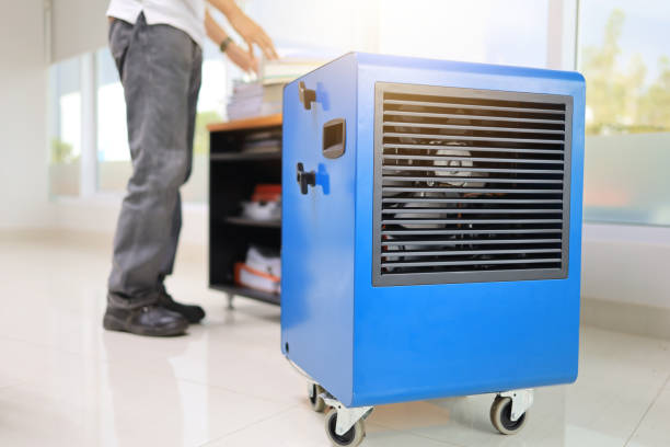 Best Attic Mold Removal  in Crooked Lake Park, FL