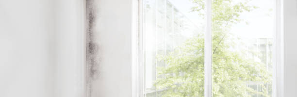 Best Mold Prevention Services  in Crooked Lake Park, FL