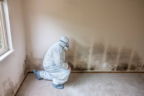 Best Mold Odor Removal Services  in Crooked Lake Park, FL