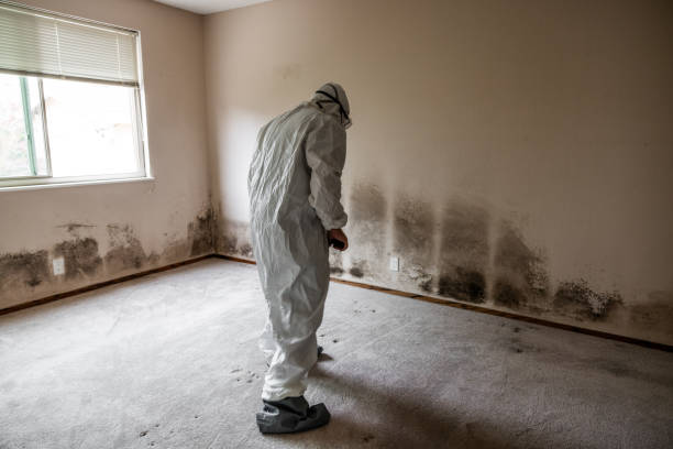 Best Black Mold Removal  in Crooked Lake Park, FL